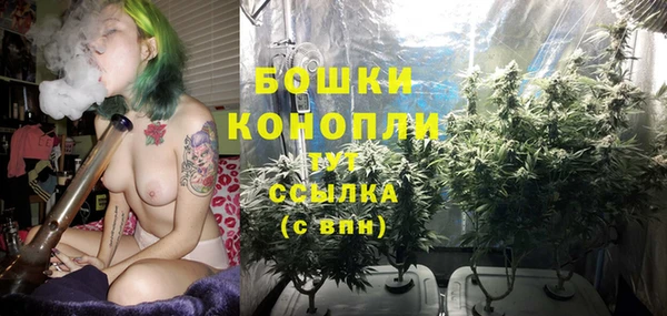 соль ск Волосово