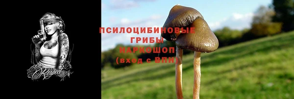 индика Волоколамск