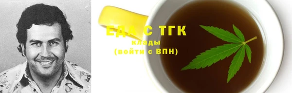 индика Волоколамск