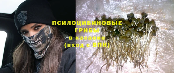 индика Волоколамск