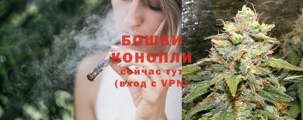 индика Волоколамск