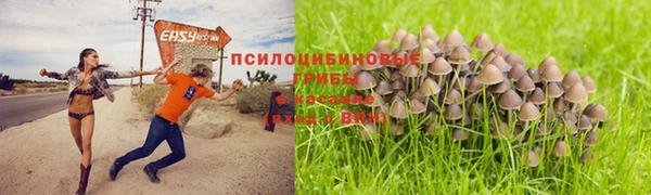 марки nbome Тайга